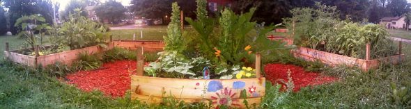 Together We Flourish Interfaith Community Garden plots at Rose City Islamic Centre Monday July 15 2013